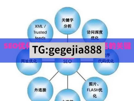 SEO优化全解析，提升网站排名的关键之道