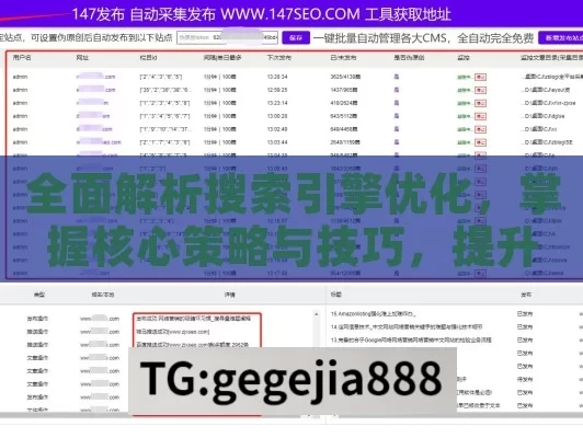 全面解析搜索引擎优化，掌握核心策略与技巧，提升网站排名