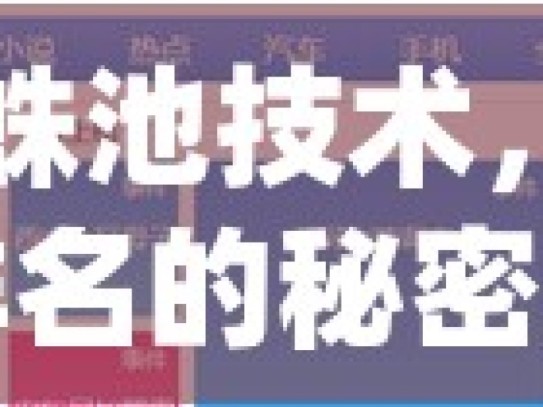 谷歌蜘蛛池技术，提升网站排名的秘密武器