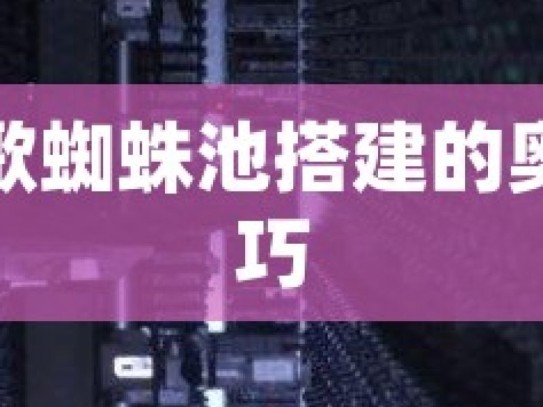 探索谷歌蜘蛛池搭建的奥秘与技巧