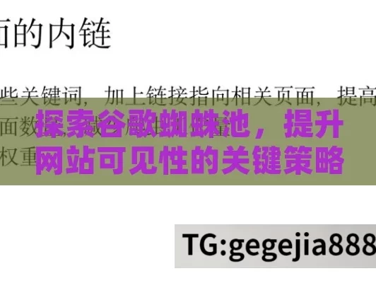 探索谷歌蜘蛛池，提升网站可见性的关键策略,谷歌蜘蛛池，网络爬虫的神秘力量