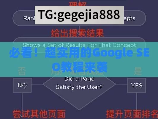 必看！超实用的Google SEO教程来袭