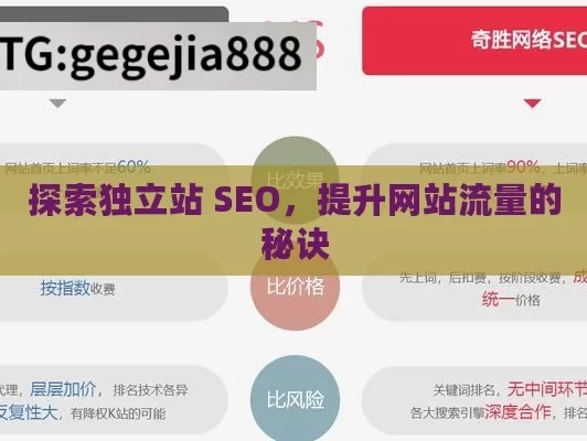 探索独立站 SEO，提升网站流量的秘诀