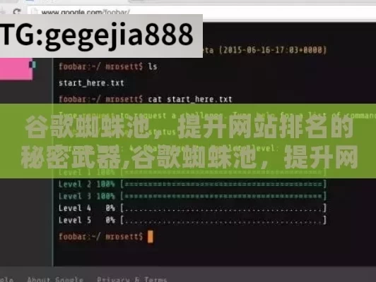 谷歌蜘蛛池，提升网站排名的秘密武器,谷歌蜘蛛池，提升网站抓取效率的终极指南