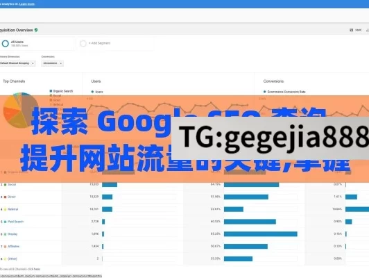 探索 Google SEO 查询，提升网站流量的关键,掌握Google SEO查询，提升网站排名