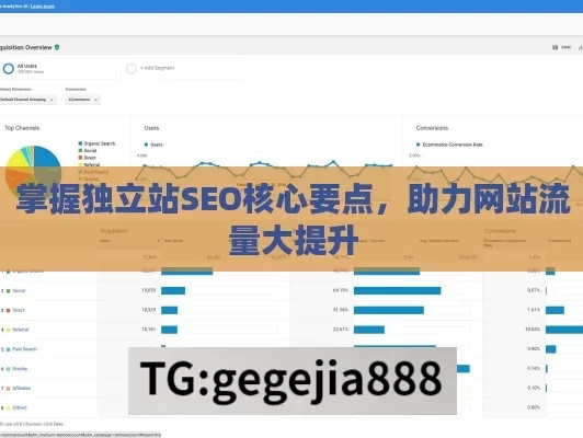 掌握独立站SEO核心要点，助力网站流量大提升
