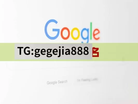 google 排名