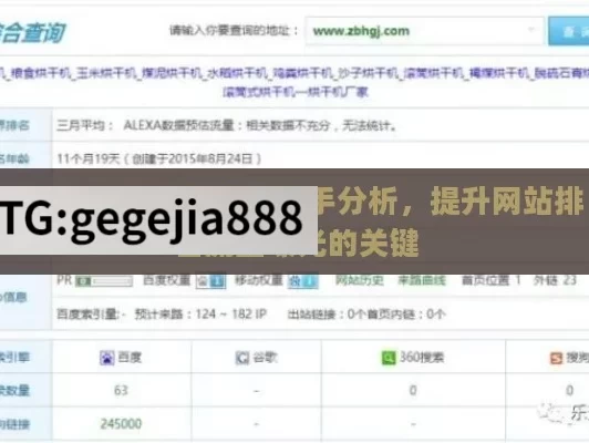 Google SEO与竞争对手分析，提升网站排名流量曝光的关键