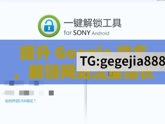 提升 Google 排名，解锁网站流量增长的密码,提升Google排名，制胜在线市场的关键策略