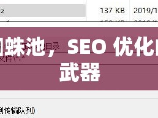 谷歌蜘蛛池，SEO 优化的秘密武器