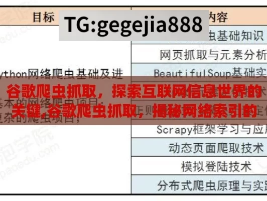 谷歌爬虫抓取，探索互联网信息世界的关键,谷歌爬虫抓取，揭秘网络索引的幕后英雄