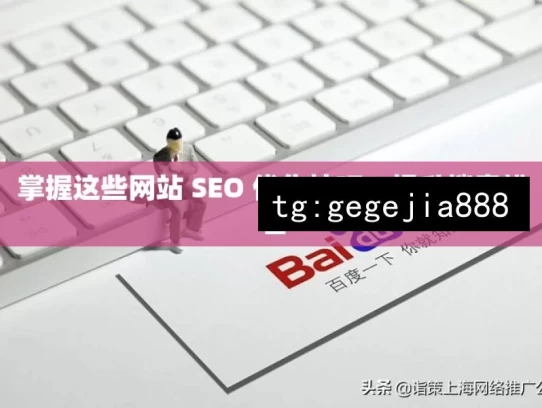 掌握这些网站 SEO 优化技巧，提升搜索排名，掌握网站 SEO 优化技巧 提升排名