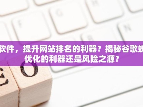 探索谷歌蜘蛛池软件，提升网站排名的利器？揭秘谷歌蜘蛛池软件，SEO优化的利器还是风险之源？