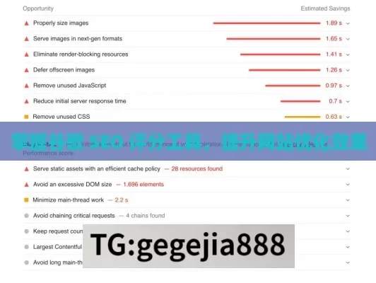 掌握谷歌 SEO 评分工具，提升网站优化效果