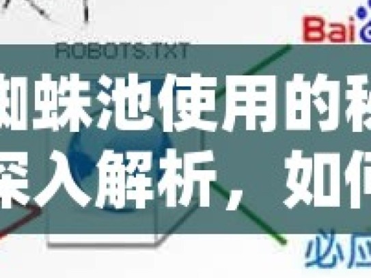 谷歌蜘蛛池使用的秘密与技巧深入解析，如何有效利用谷歌蜘蛛池提升网站SEO效果