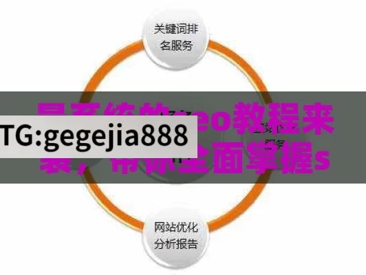 最系统的seo教程来袭，带你全面掌握seo技巧