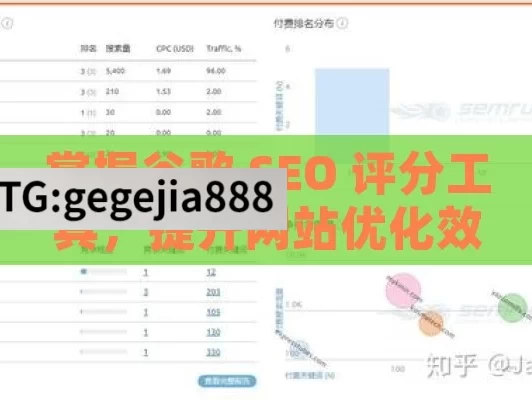 掌握谷歌 SEO 评分工具，提升网站优化效果,谷歌SEO评分工具使用指南