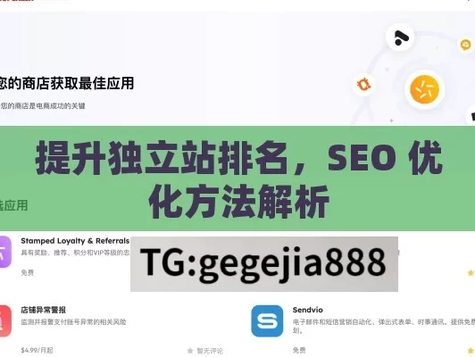 提升独立站排名，SEO 优化方法解析