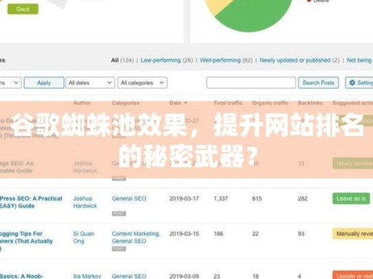 谷歌蜘蛛池效果，提升网站排名的秘密武器？