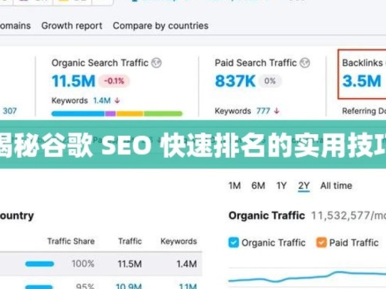 揭秘谷歌 SEO 快速排名的实用技巧