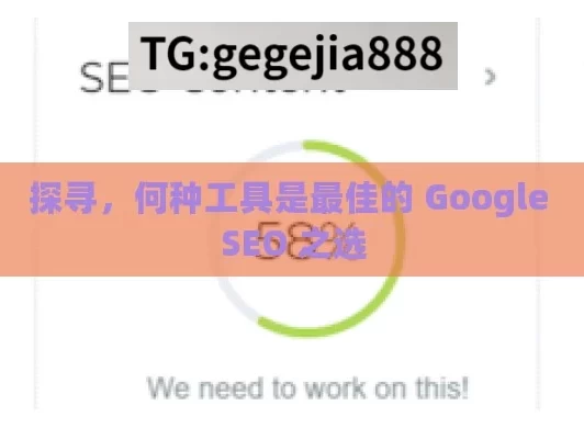 探寻，何种工具是最佳的 Google SEO 之选