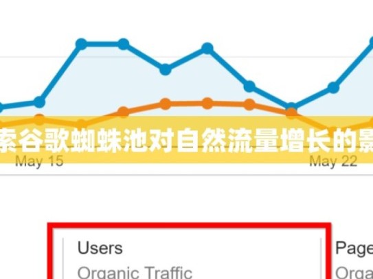 探索谷歌蜘蛛池对自然流量增长的影响