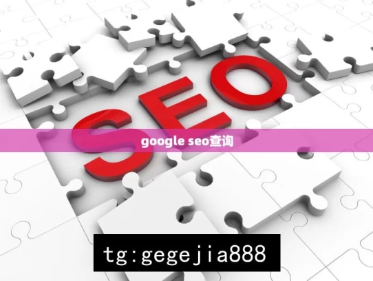 google seo查询，Google SEO 查询探究