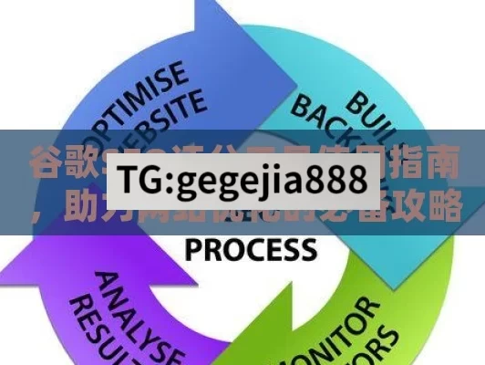 谷歌SEO评分工具使用指南，助力网站优化的必备攻略