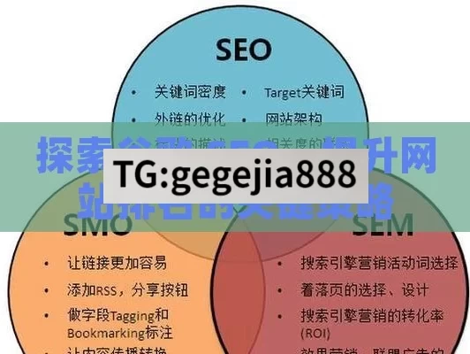 探索谷歌 SEO，提升网站排名的关键策略