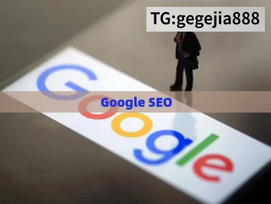 Google SEO，探索 Google SEO 的奥秘