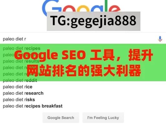 Google SEO 工具，提升网站排名的强大利器