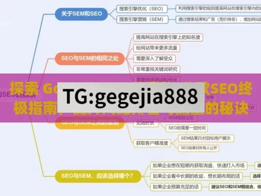 探索 Google SEO 的奥秘,谷歌SEO终极指南，提升网站排名与流量的秘诀