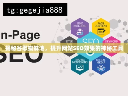 揭秘谷歌蜘蛛池，提升网站SEO效果的神秘工具，揭秘谷歌蜘蛛池与SEO提升