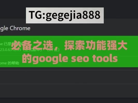 必备之选，探索功能强大的google seo tools