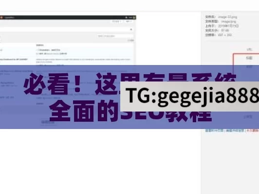 必看！这里有最系统全面的SEO教程