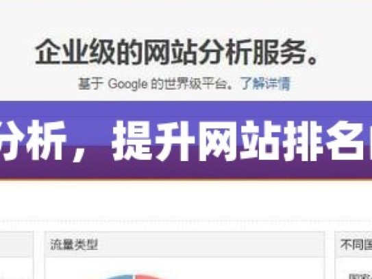 谷歌 SEO 分析，提升网站排名的关键策略