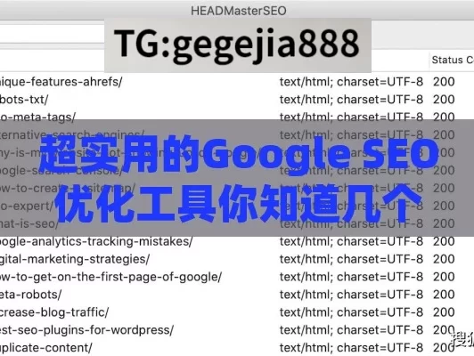 超实用的Google SEO优化工具你知道几个