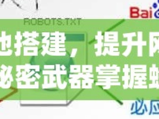 蜘蛛池搭建，提升网站流量的秘密武器掌握蜘蛛池搭建技巧，提升网站SEO效果的秘诀