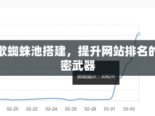 谷歌蜘蛛池搭建，提升网站排名的秘密武器