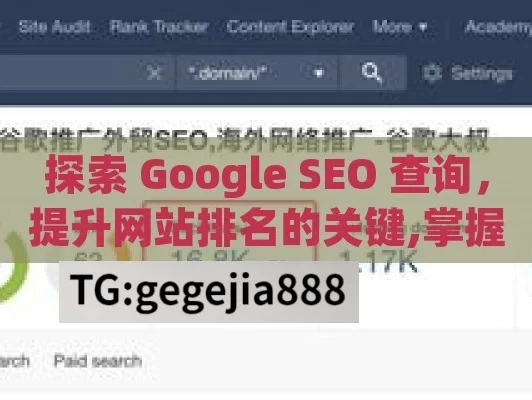 探索 Google SEO 查询，提升网站排名的关键,掌握Google SEO查询，揭秘网站排名提升的秘密