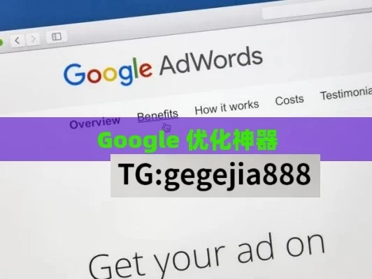 Google 优化神器