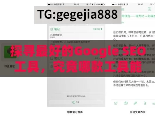 探寻最好的Google SEO工具，究竟哪款工具能脱颖而出