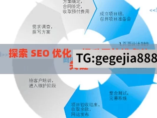 探索 SEO 优化，提升网站排名的关键