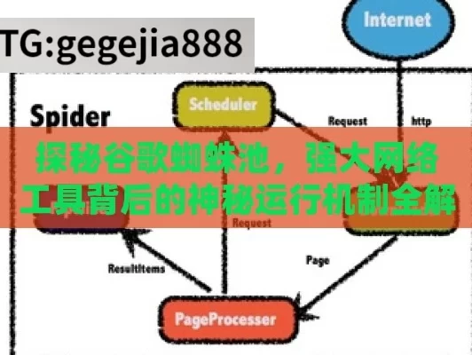 探秘谷歌蜘蛛池，强大网络工具背后的神秘运行机制全解析