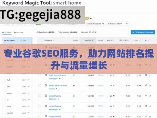 专业谷歌SEO服务，助力网站排名提升与流量增长