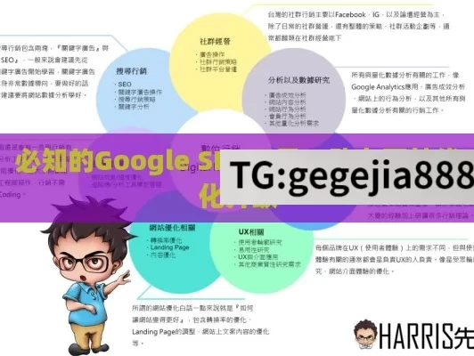 必知的Google SEO工具，助力网站优化升级