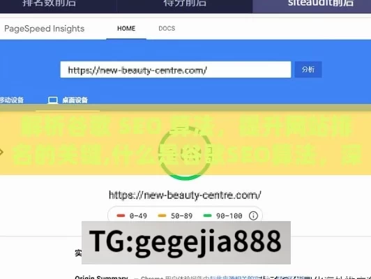 解析谷歌 SEO 算法，提升网站排名的关键,什么是谷歌SEO算法，深入解析搜索引擎优化的核心机制