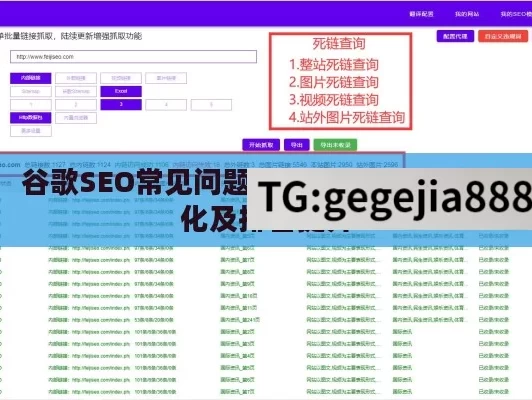 谷歌SEO常见问题全解答，助力网站优化及排名提升