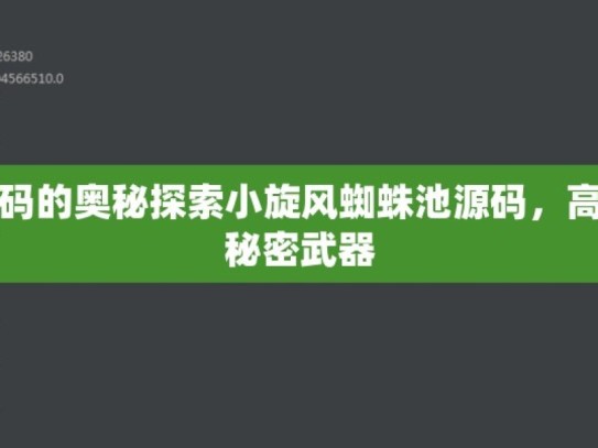 探索蜘蛛池源码的奥秘探索小旋风蜘蛛池源码，高效网络爬虫的秘密武器