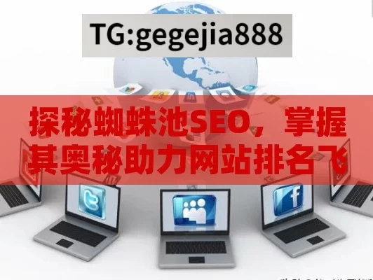 探秘蜘蛛池SEO，掌握其奥秘助力网站排名飞速提升